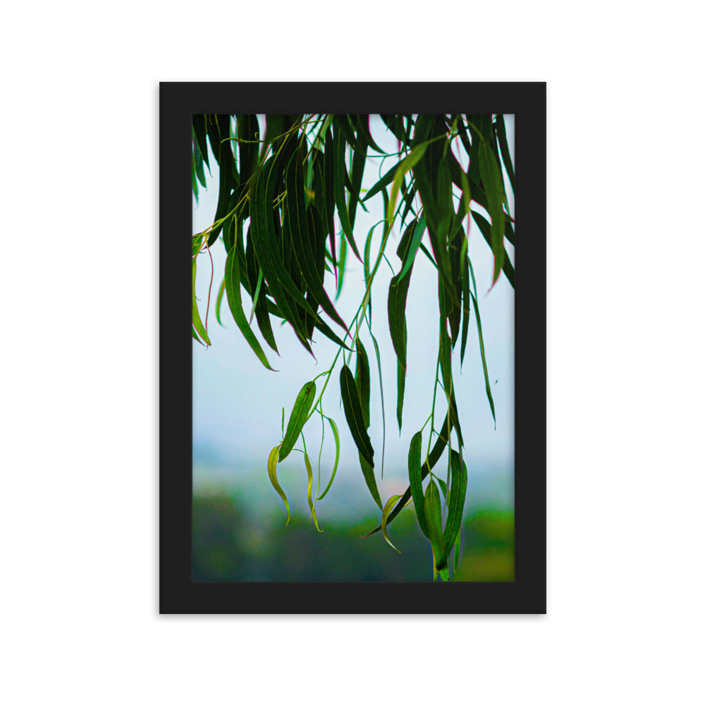 Framed matte paper poster - Leaves