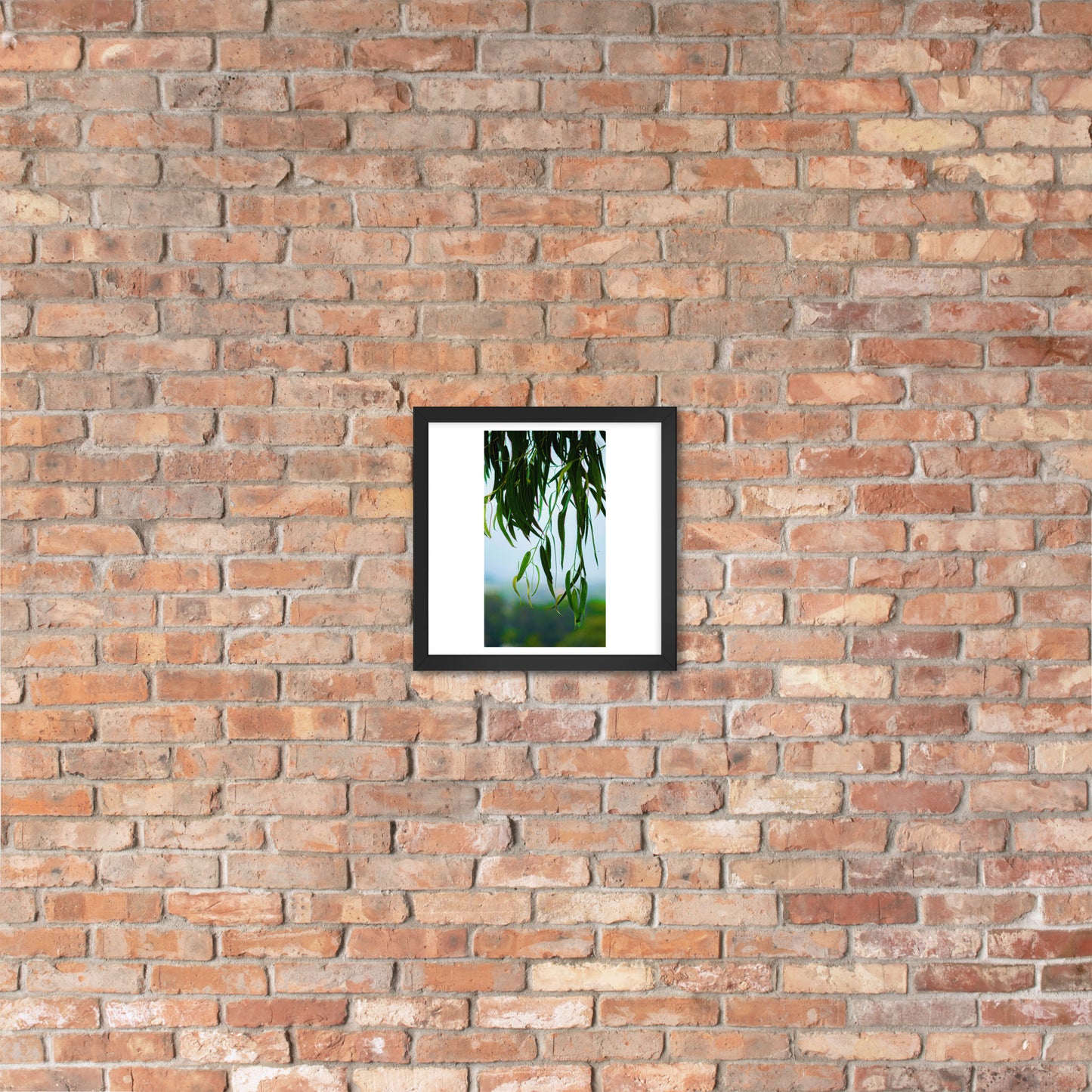 Plant Framed poster