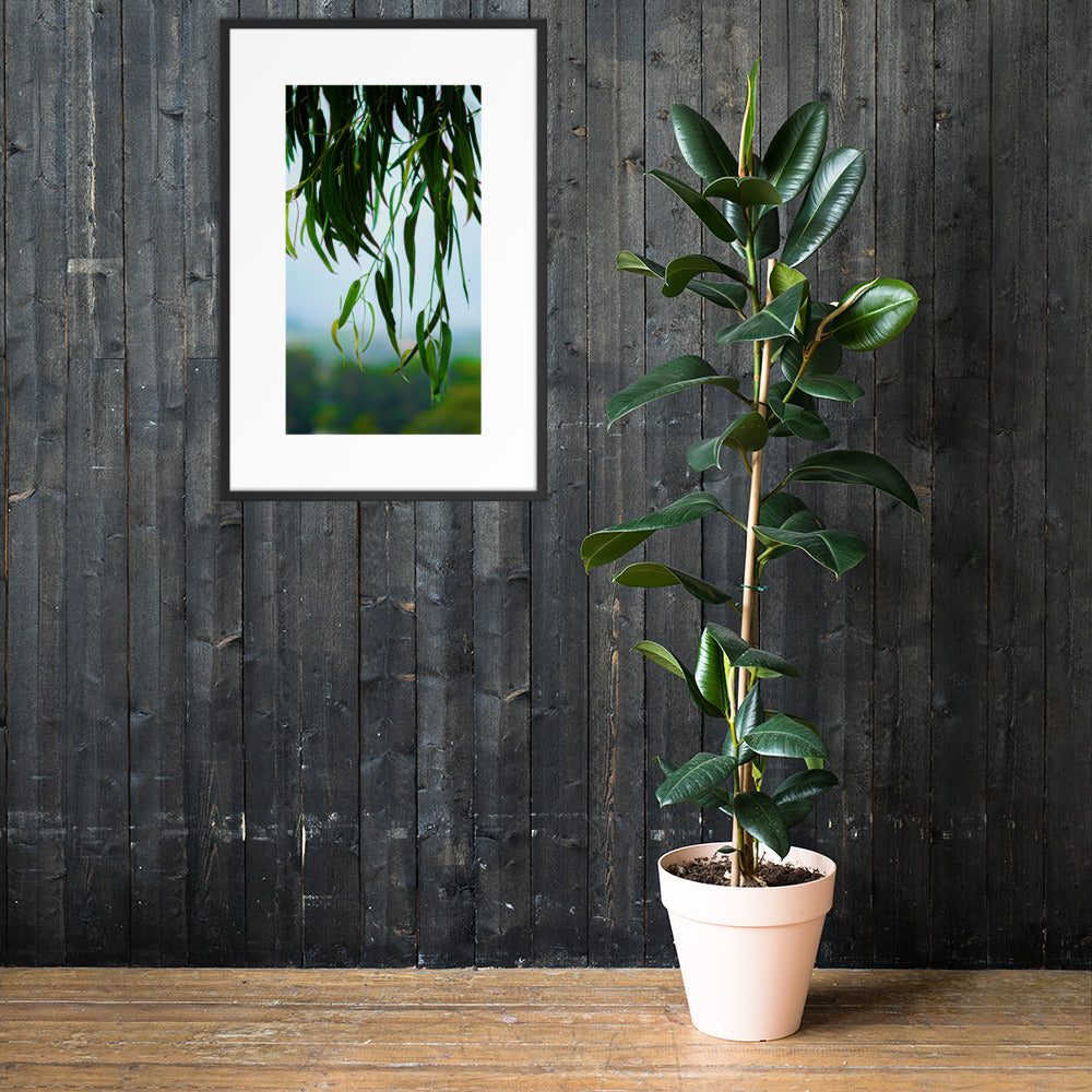 Plant Framed poster