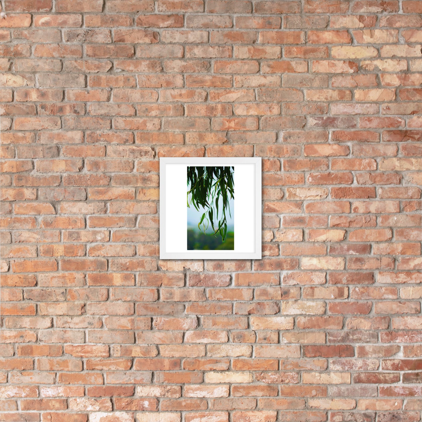 Plant Framed poster