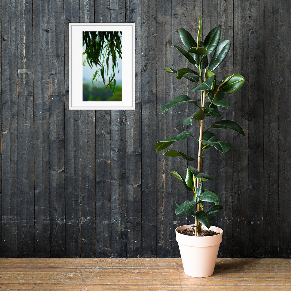 Plant Framed poster