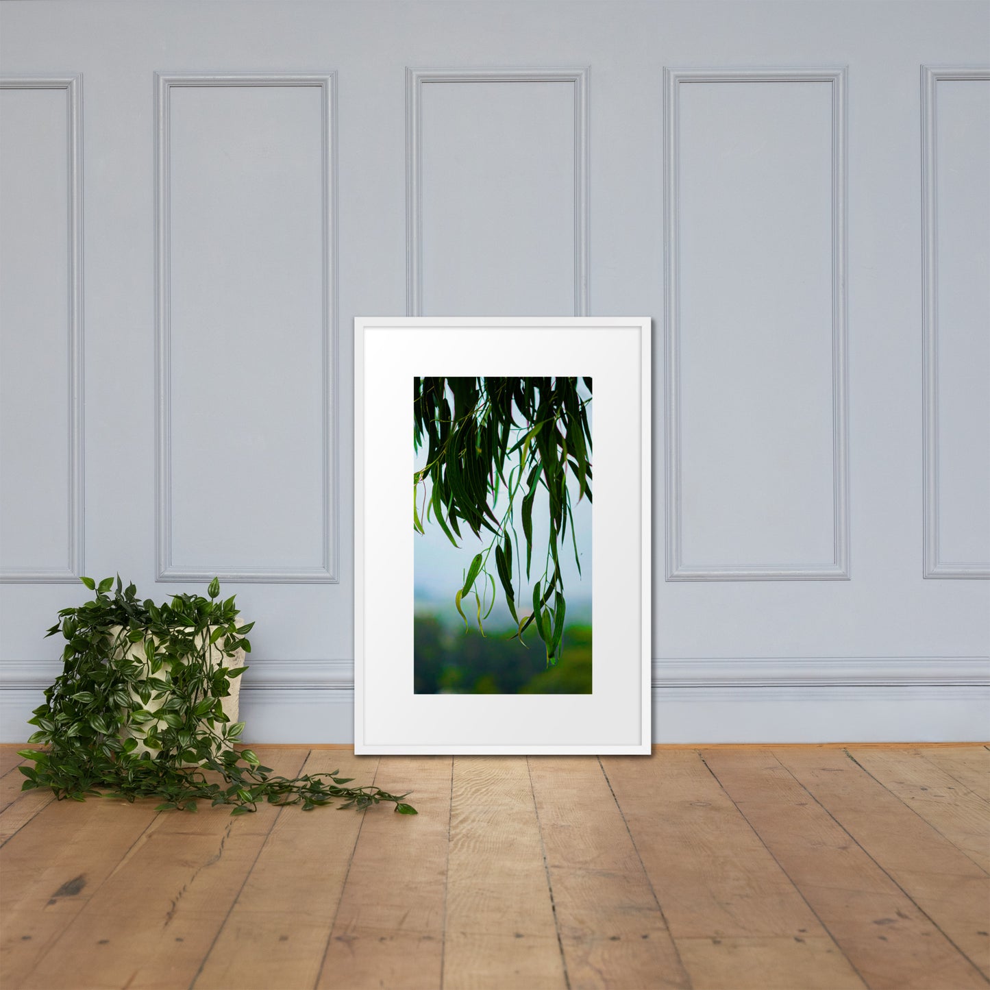 Plant Framed poster