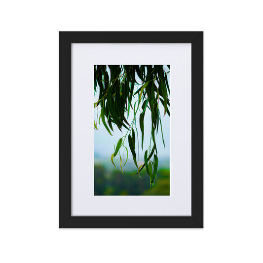 Matte Paper Framed Poster With Mat