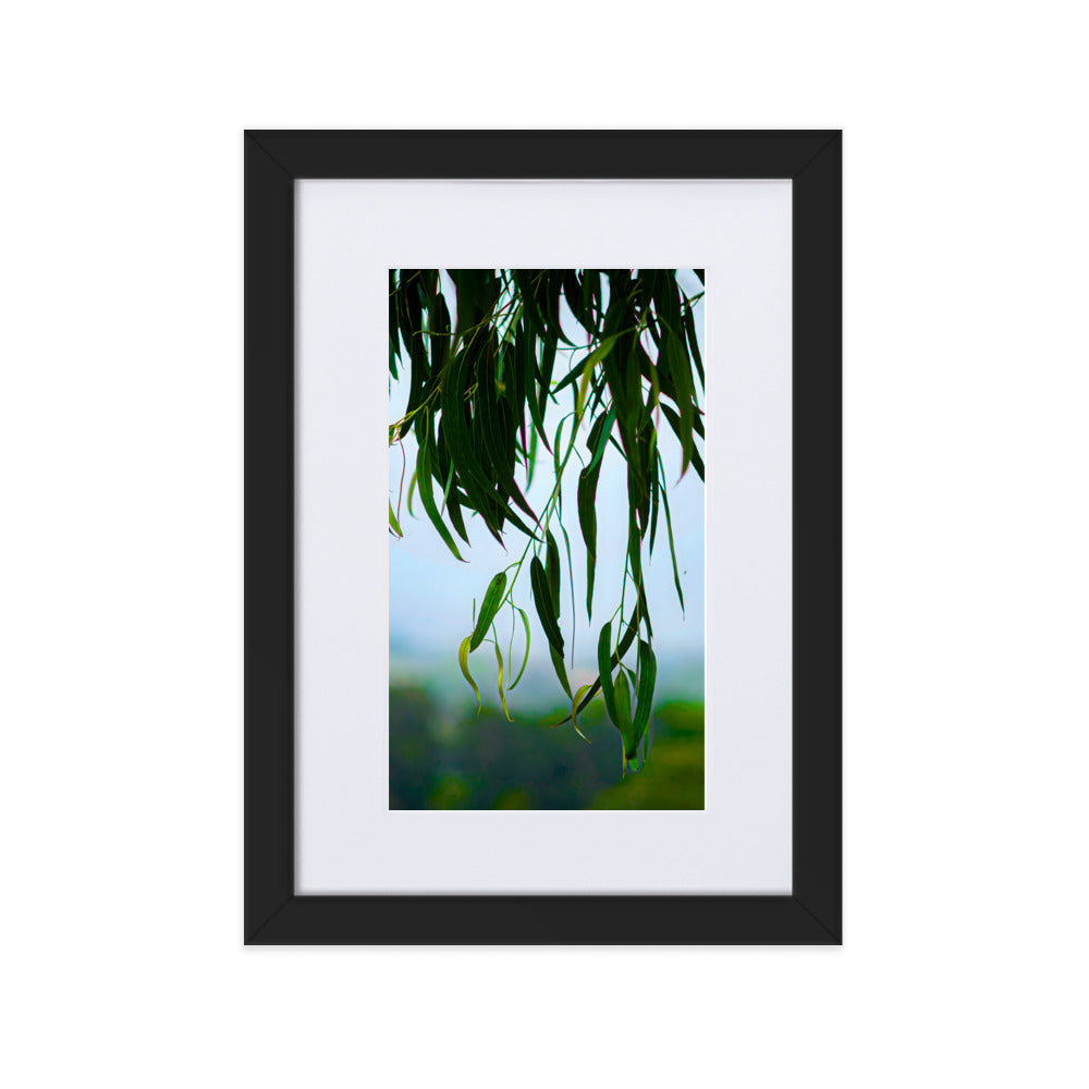 Matte Paper Framed Poster With Mat