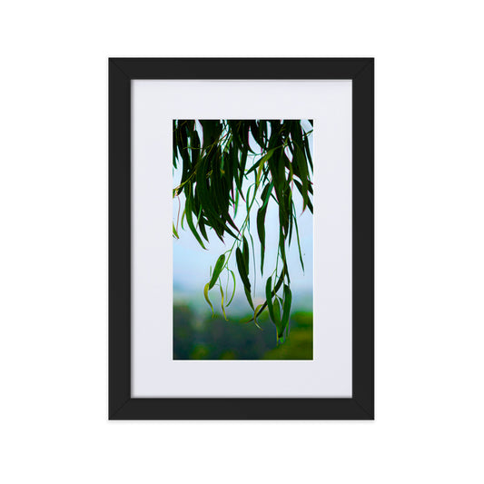 Matte Paper Framed Poster With Mat