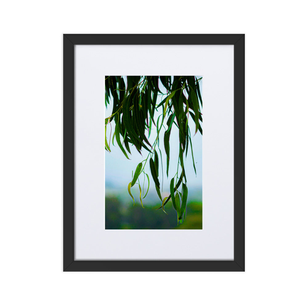 Matte Paper Framed Poster With Mat