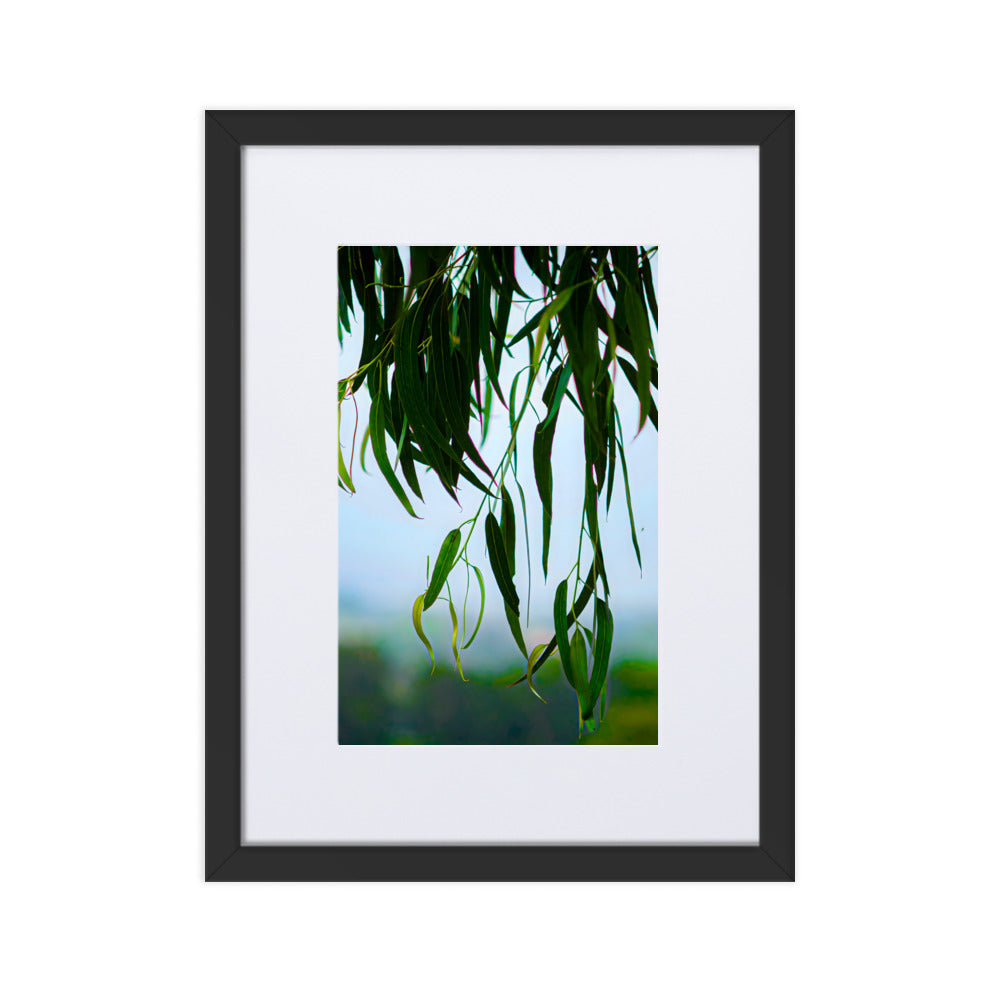 Matte Paper Framed Poster With Mat