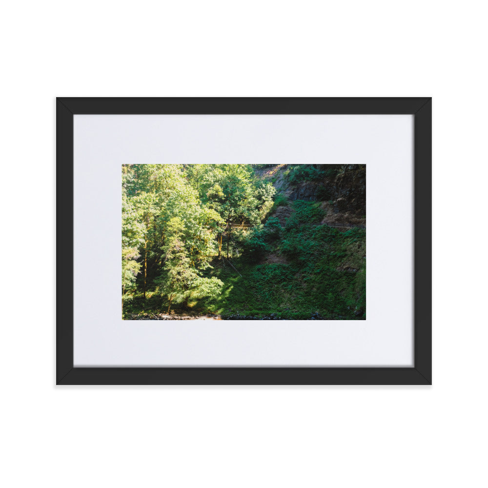 Matte Paper Framed Poster With Mat silver falls