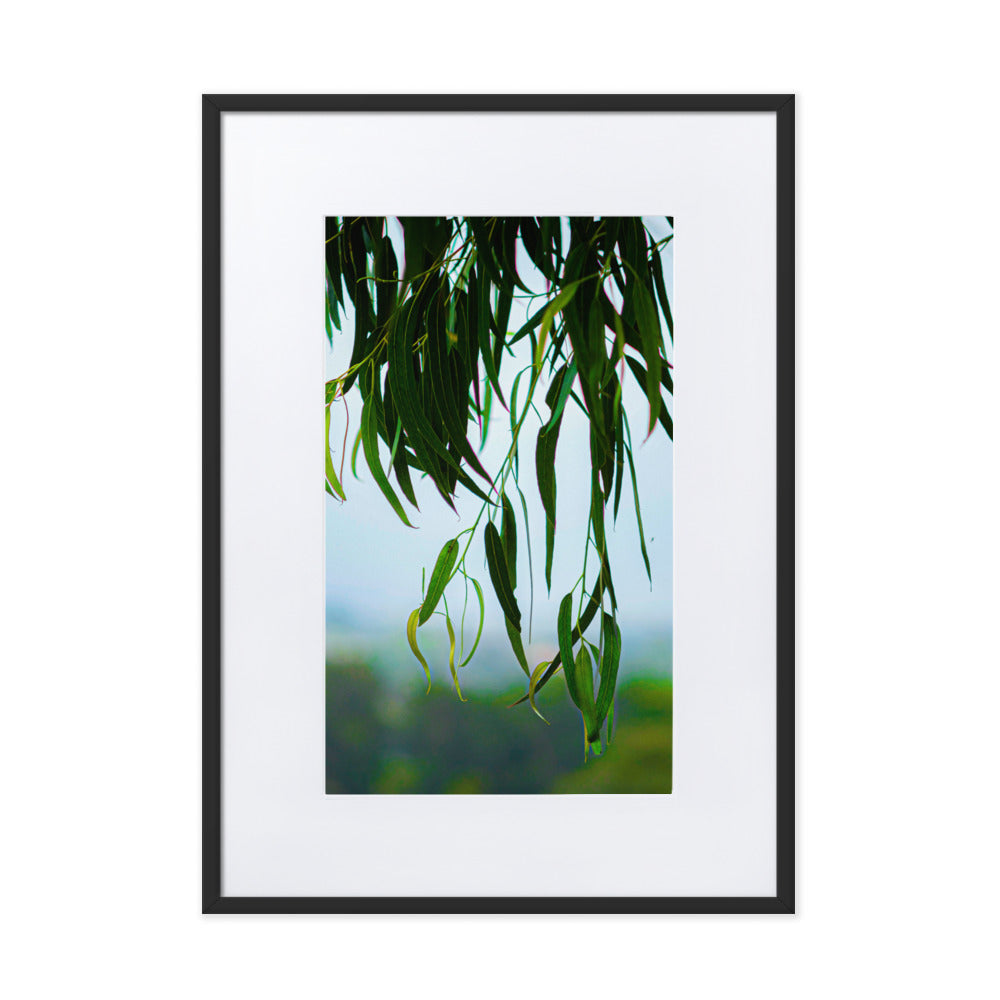 Matte Paper Framed Poster With Mat