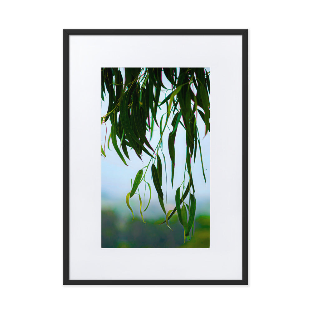 Matte Paper Framed Poster With Mat