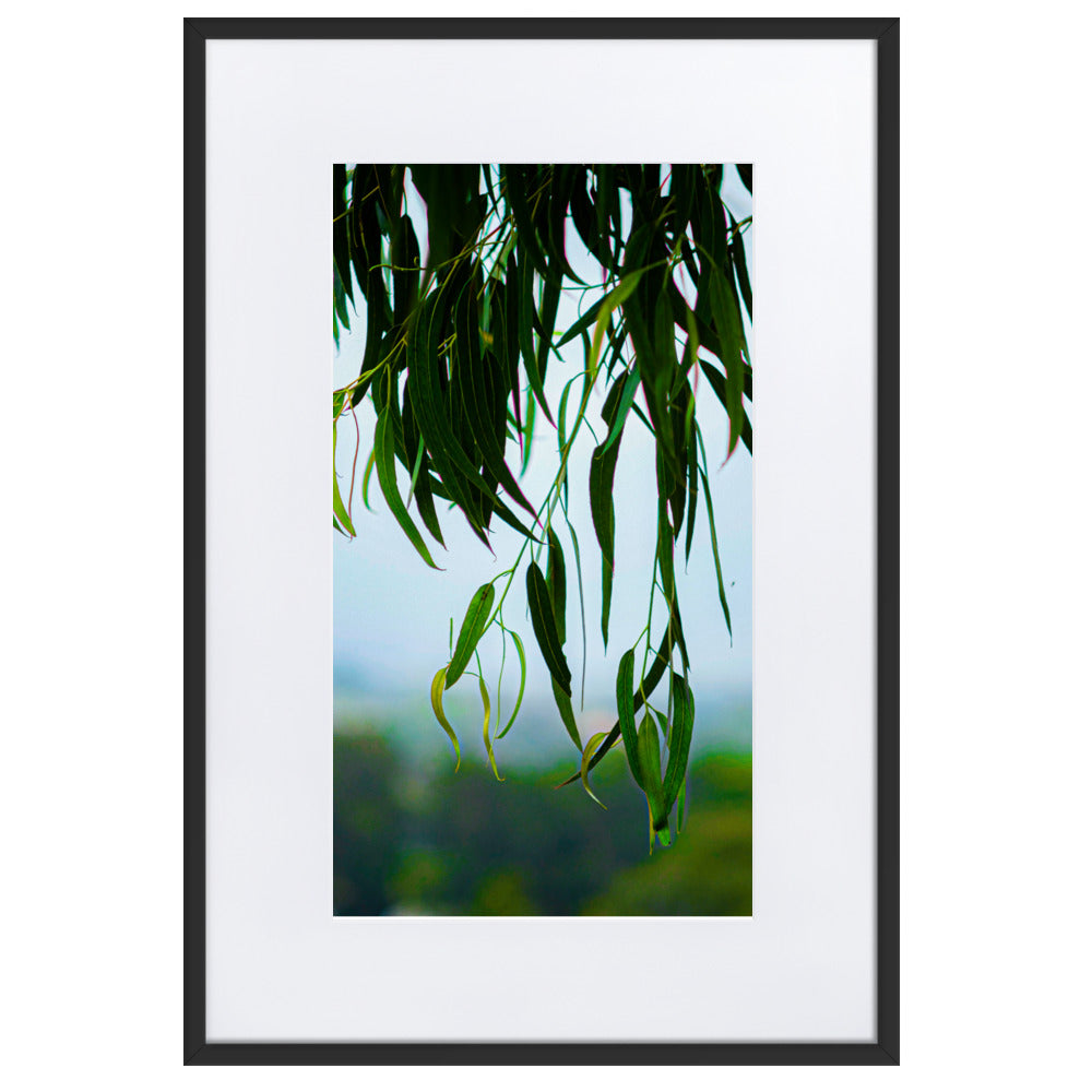 Matte Paper Framed Poster With Mat