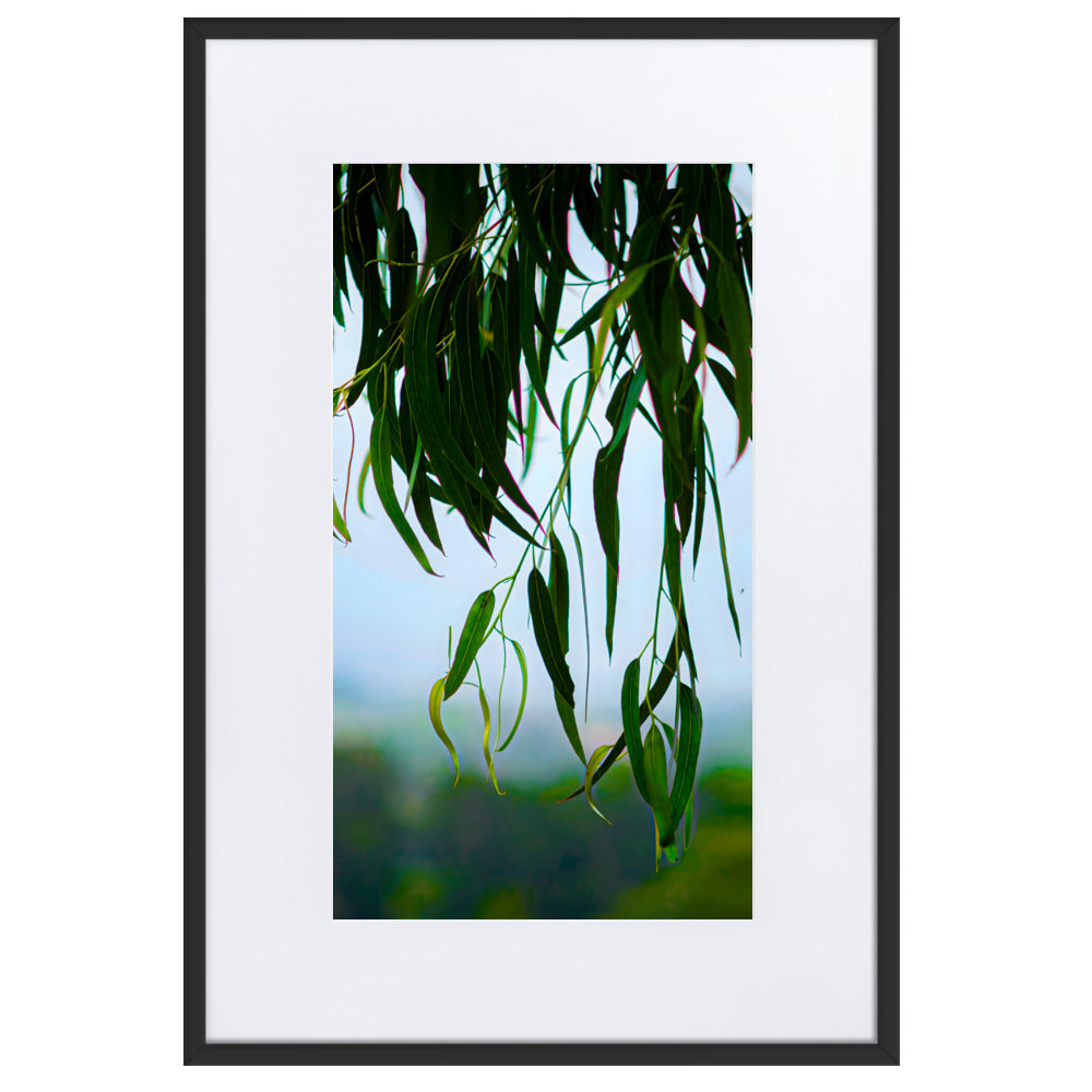 Matte Paper Framed Poster With Mat