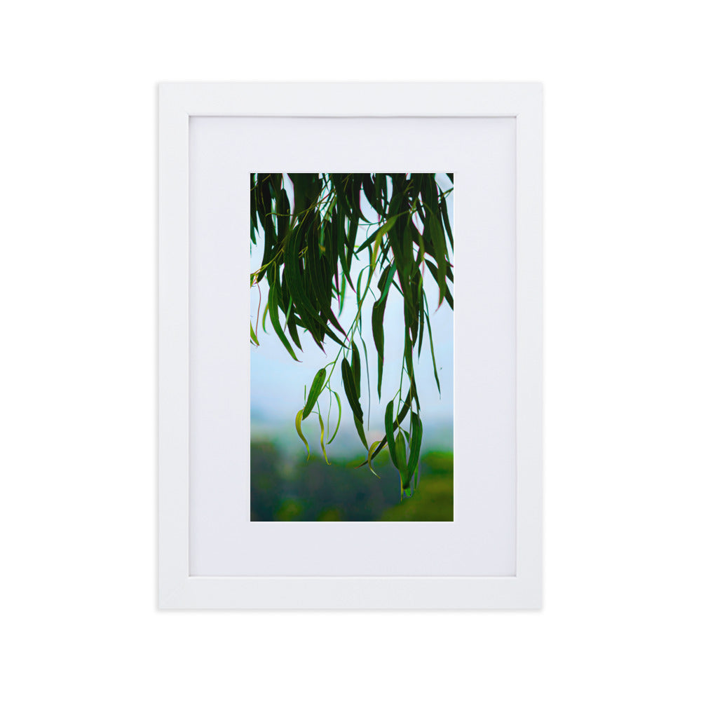 Matte Paper Framed Poster With Mat