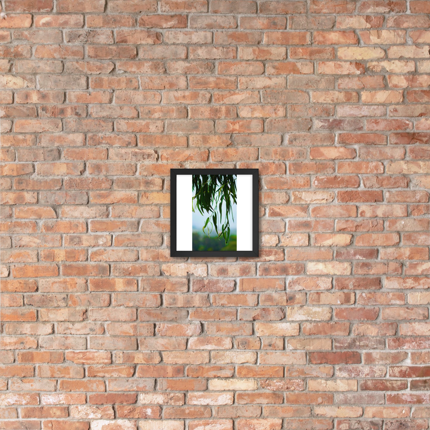 Plant Framed photo paper poster