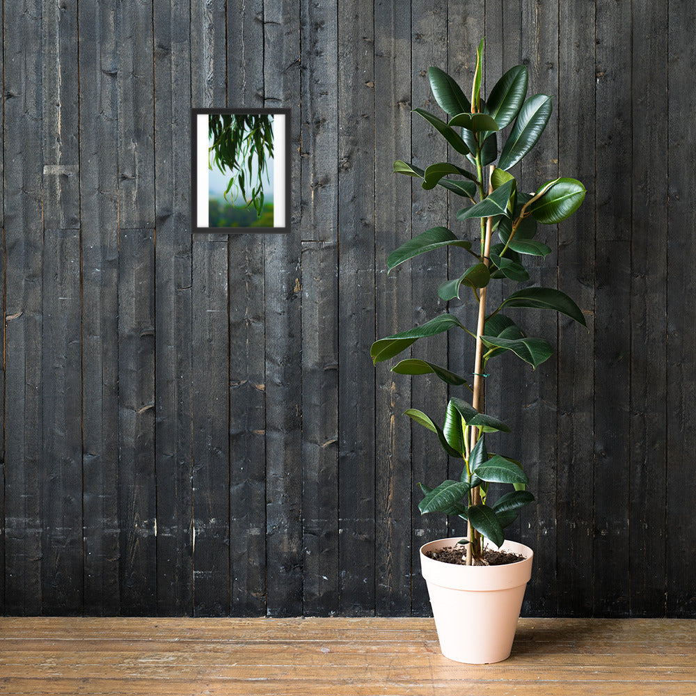 Plant Framed photo paper poster