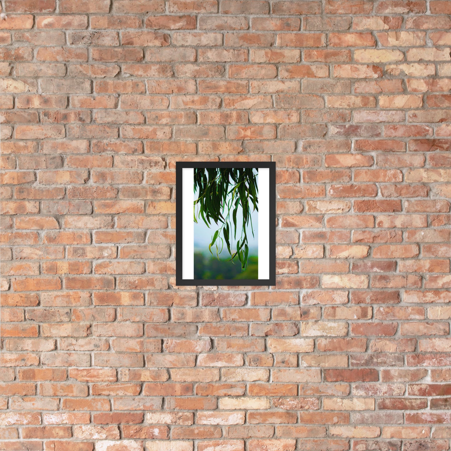 Plant Framed photo paper poster