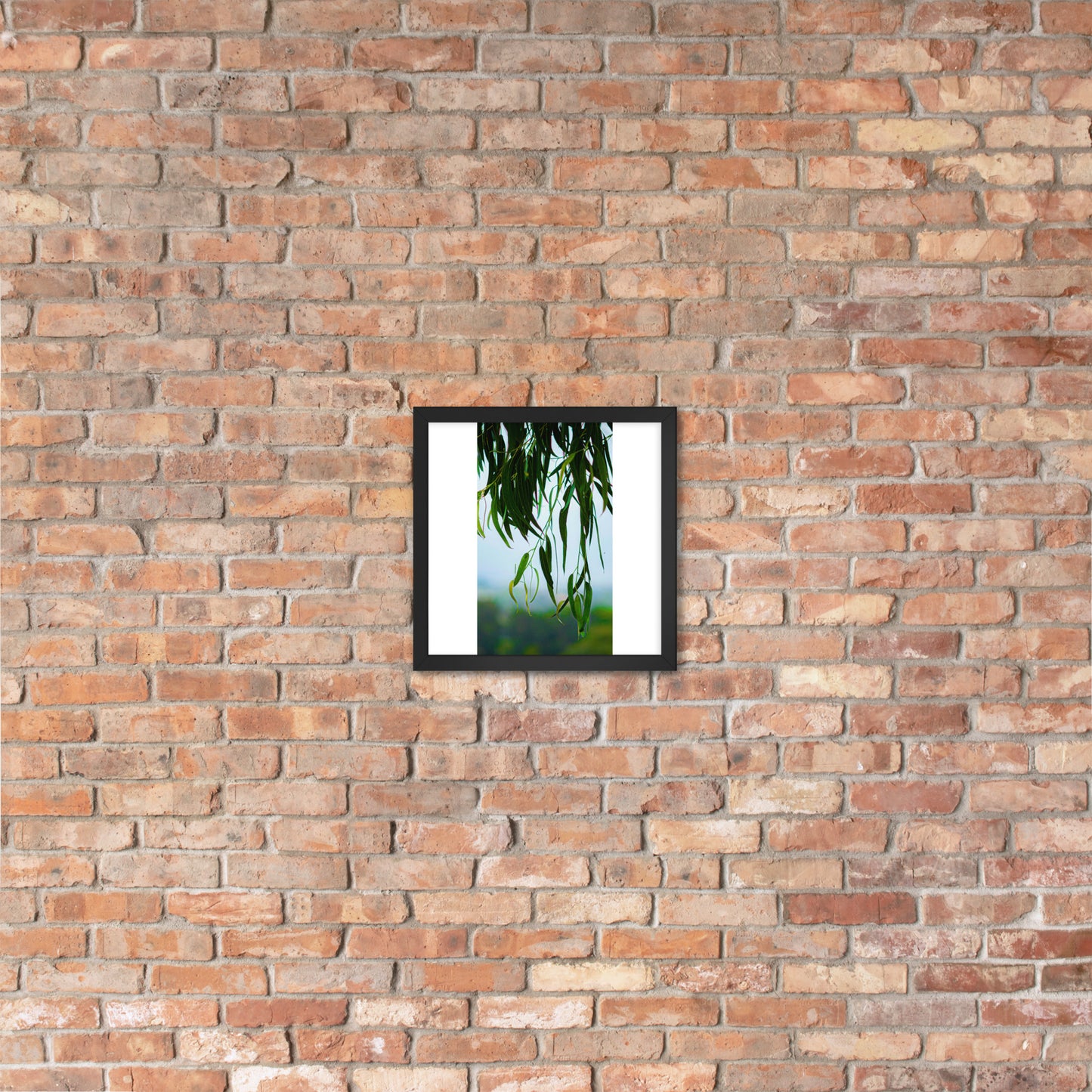 Plant Framed photo paper poster