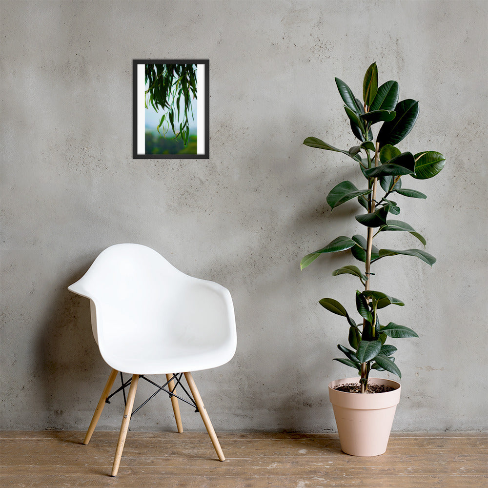 Plant Framed photo paper poster