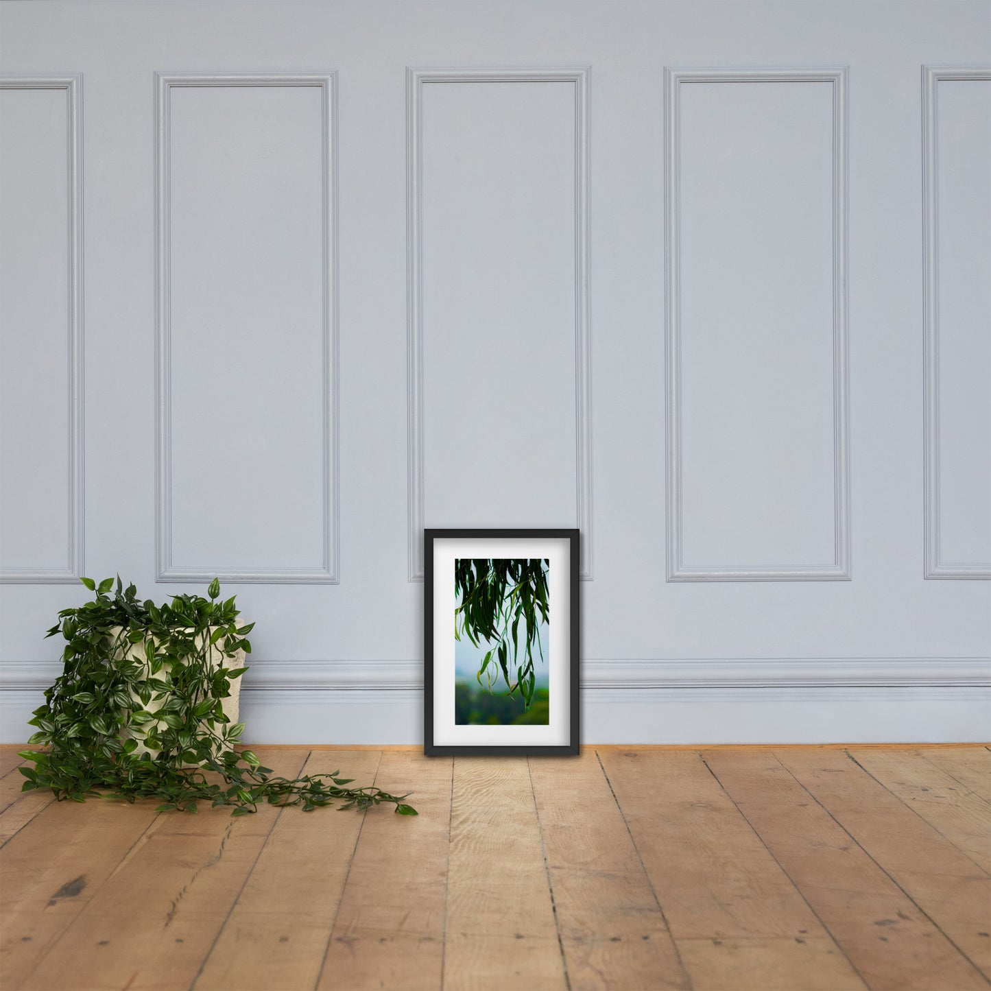 Plant Framed photo paper poster