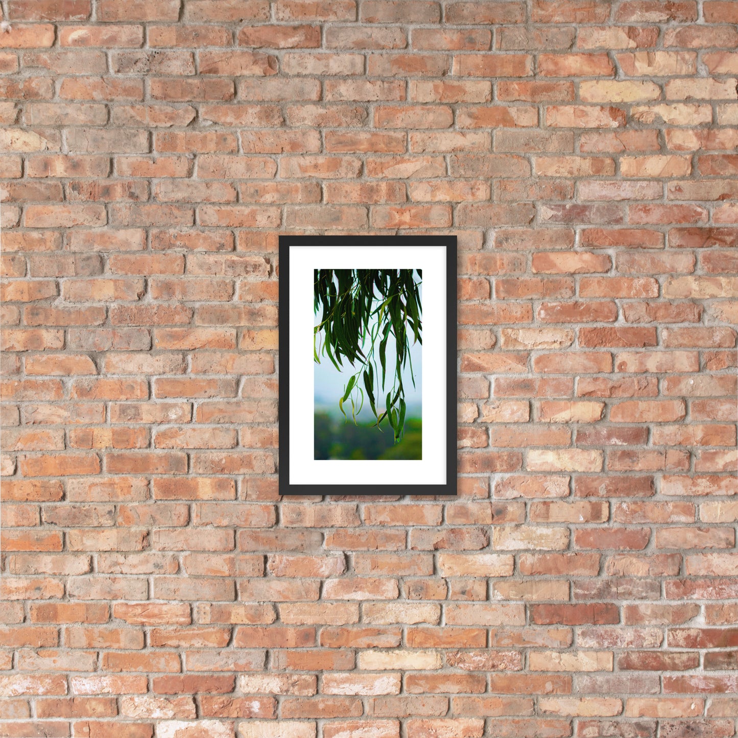 Plant Framed photo paper poster