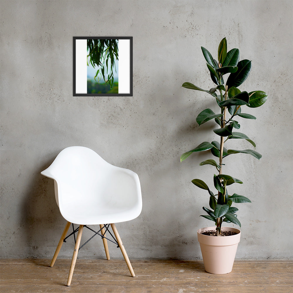 Plant Framed photo paper poster