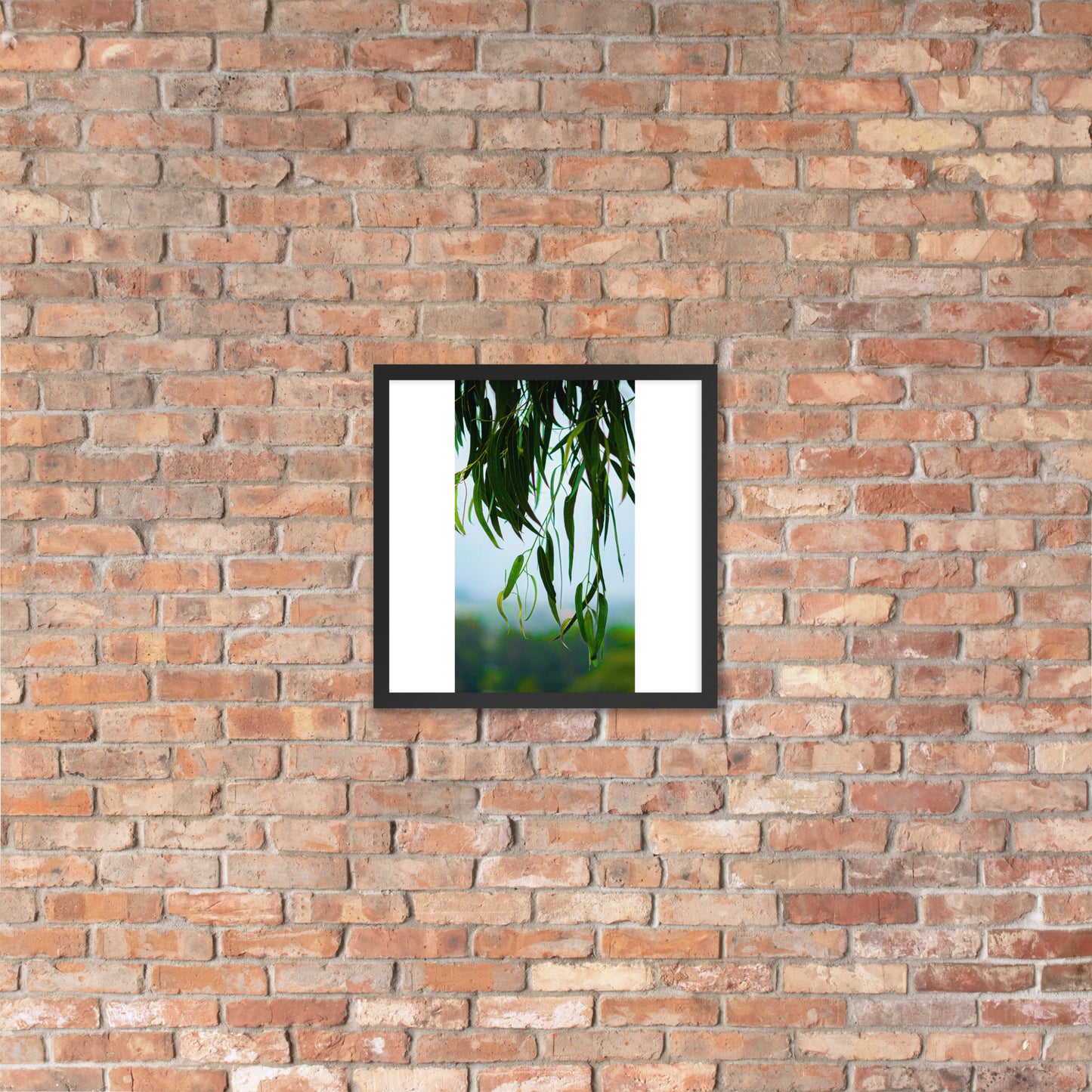 Plant Framed photo paper poster