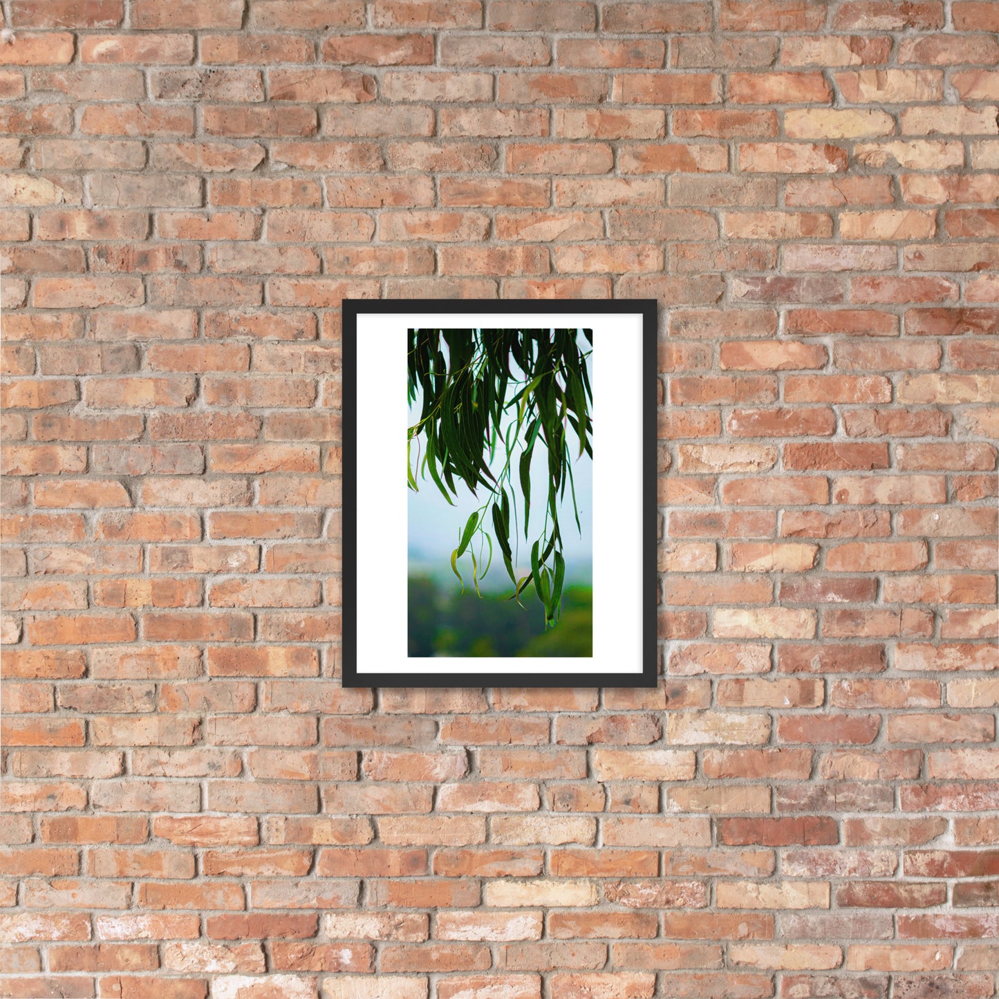 Plant Framed photo paper poster