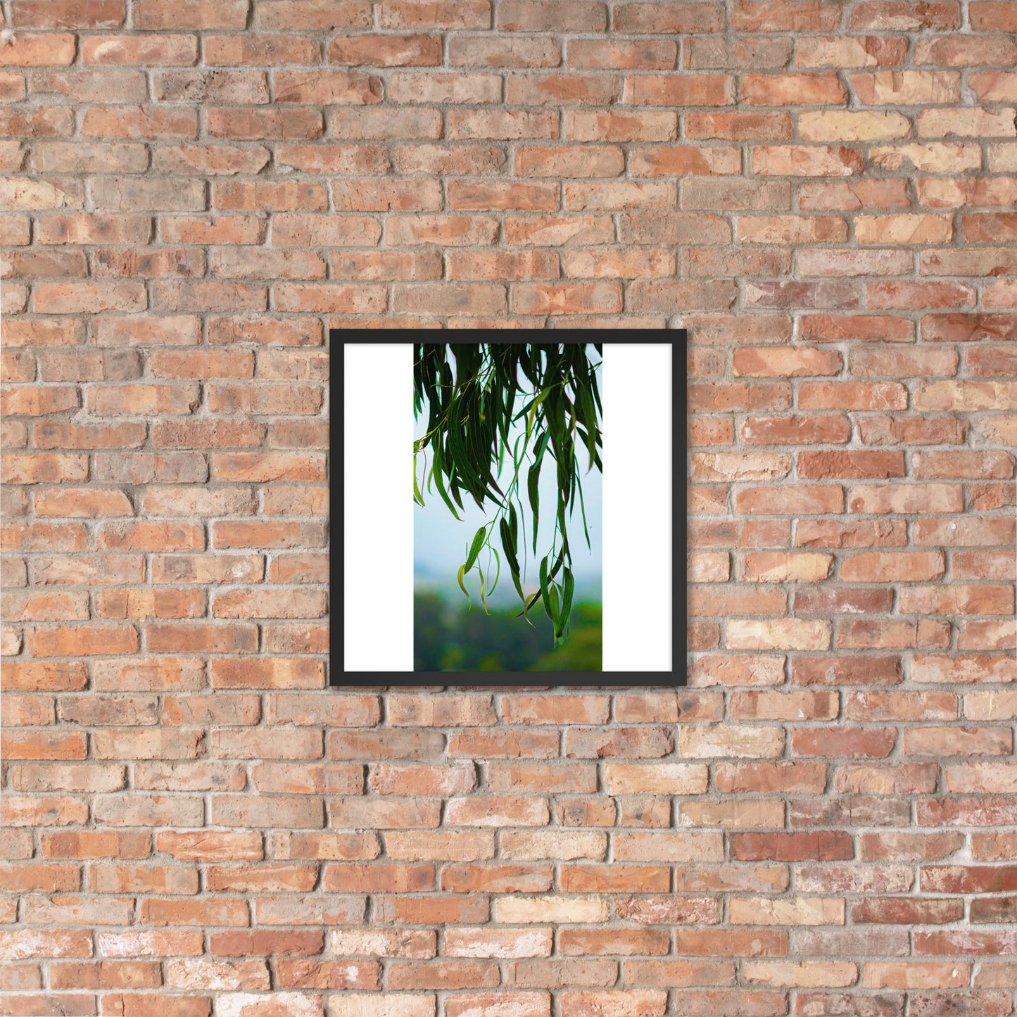 Plant Framed photo paper poster