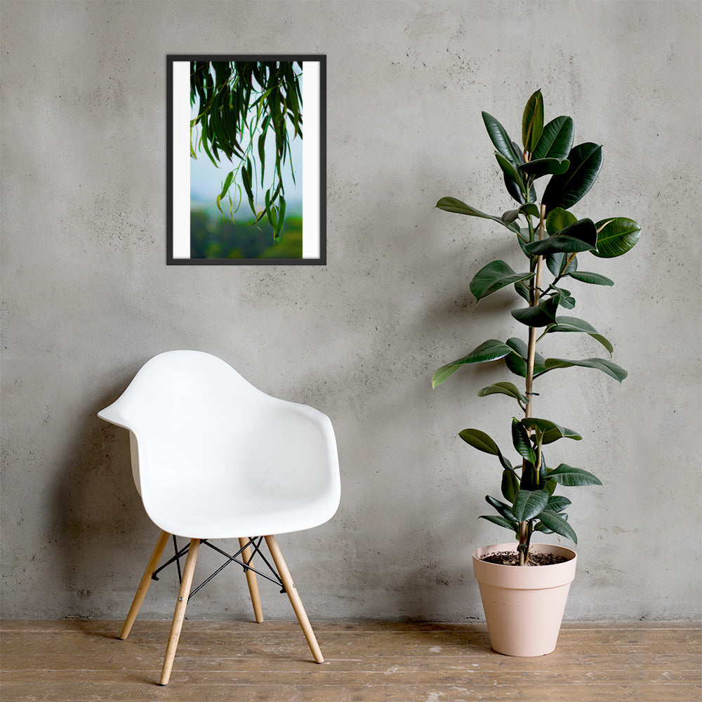 Plant Framed photo paper poster