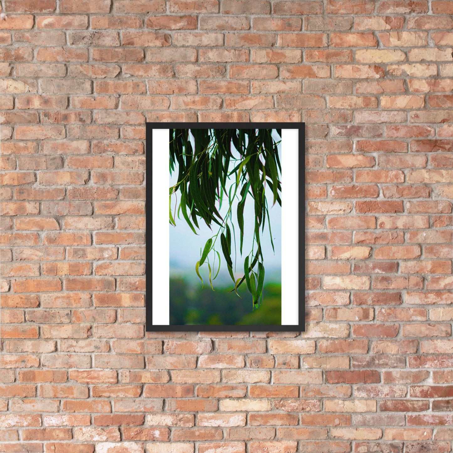 Plant Framed photo paper poster