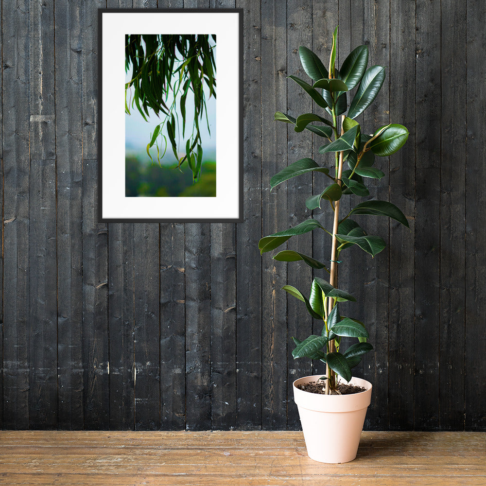 Plant Framed photo paper poster