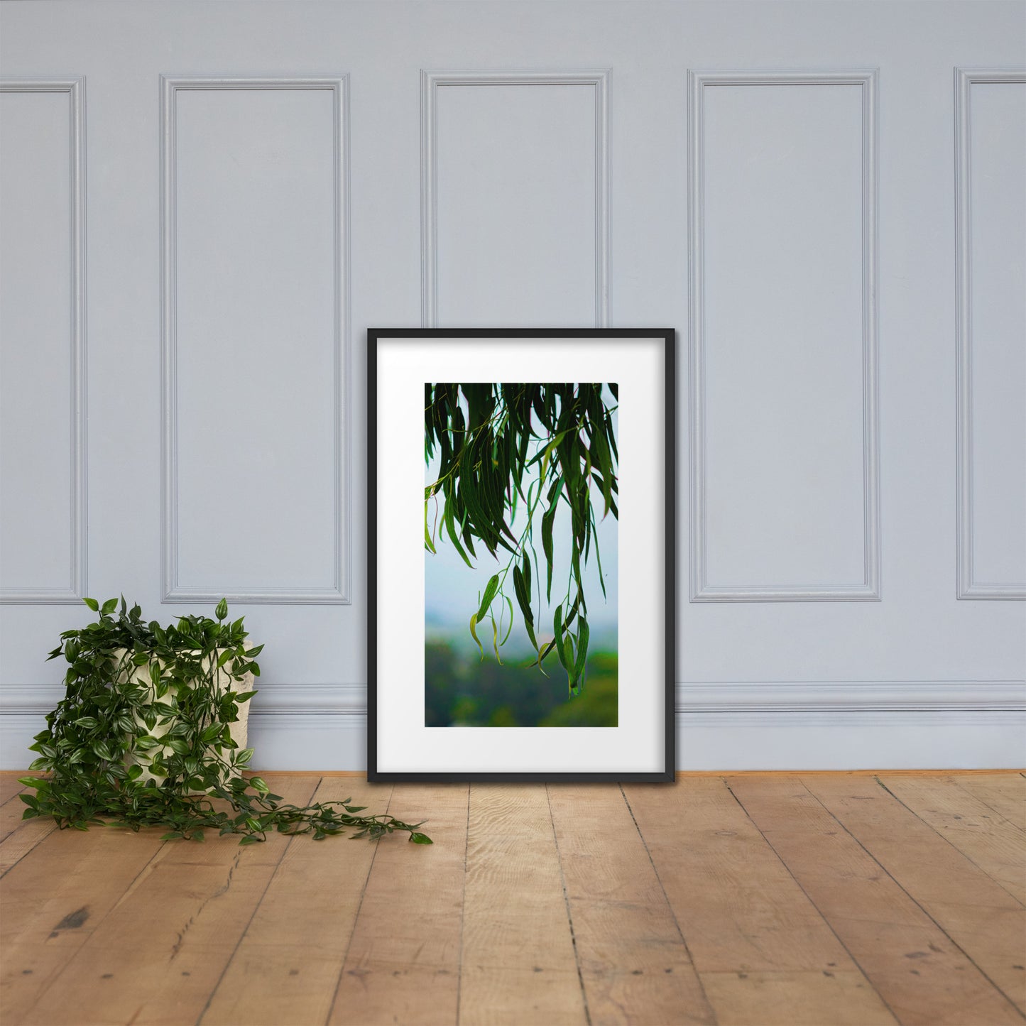 Plant Framed photo paper poster