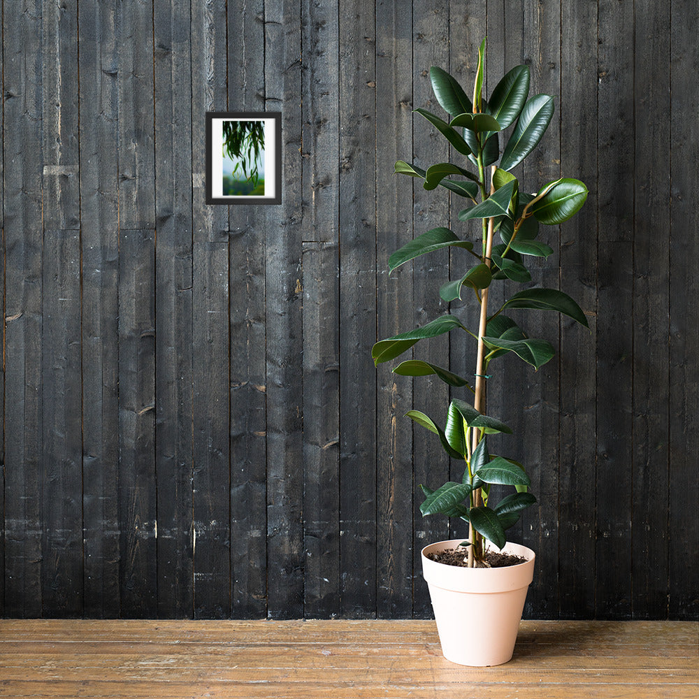 Plant Framed photo paper poster