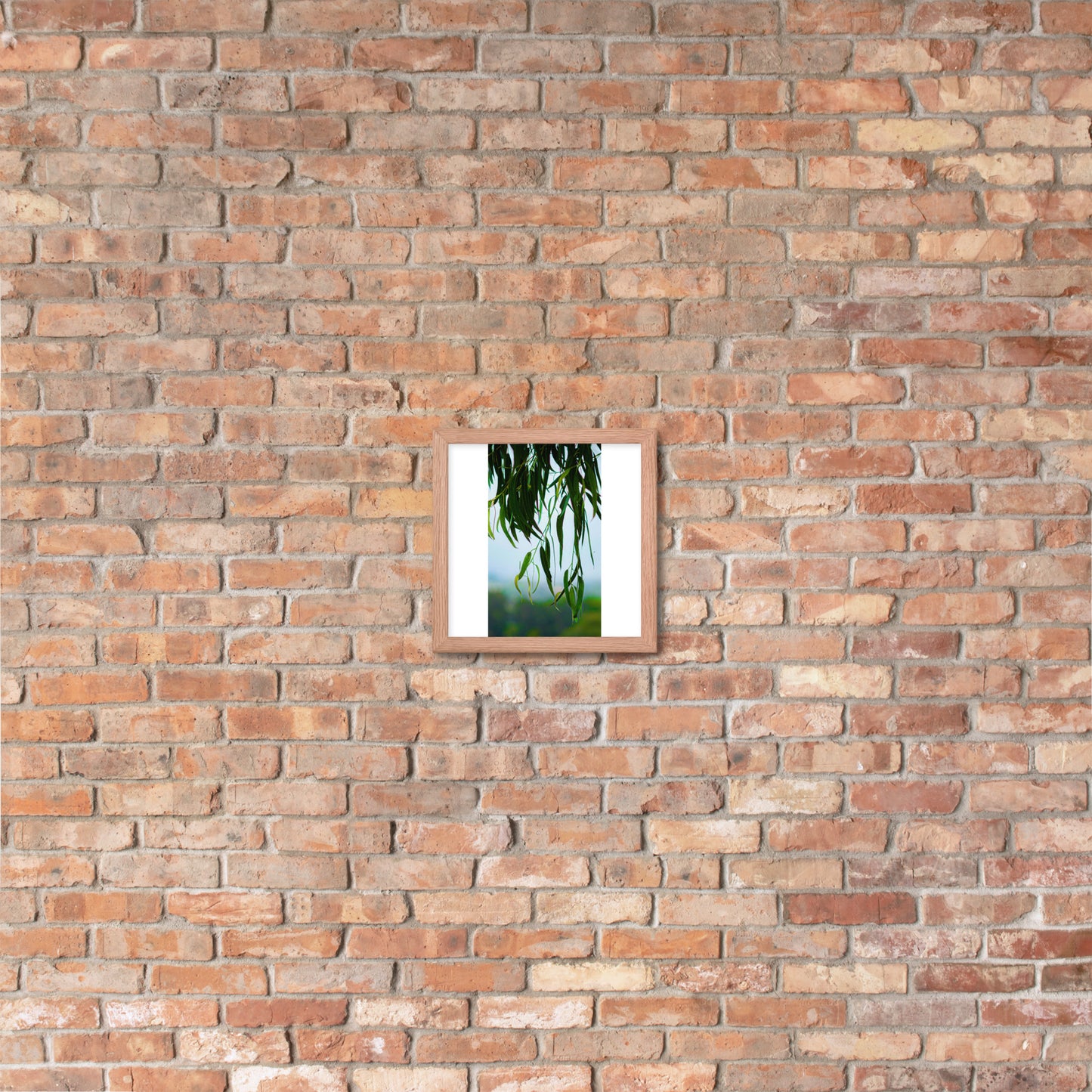 Plant Framed photo paper poster