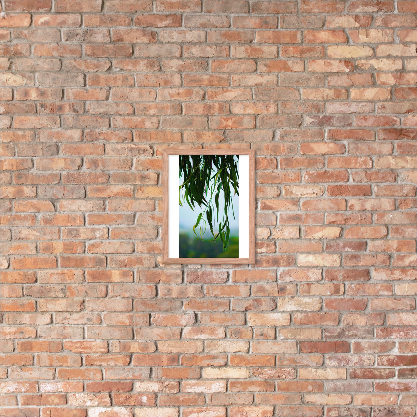 Plant Framed photo paper poster