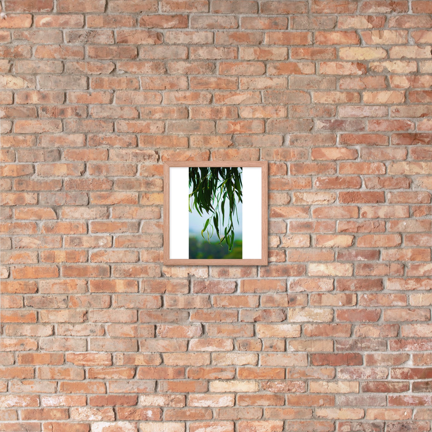 Plant Framed photo paper poster