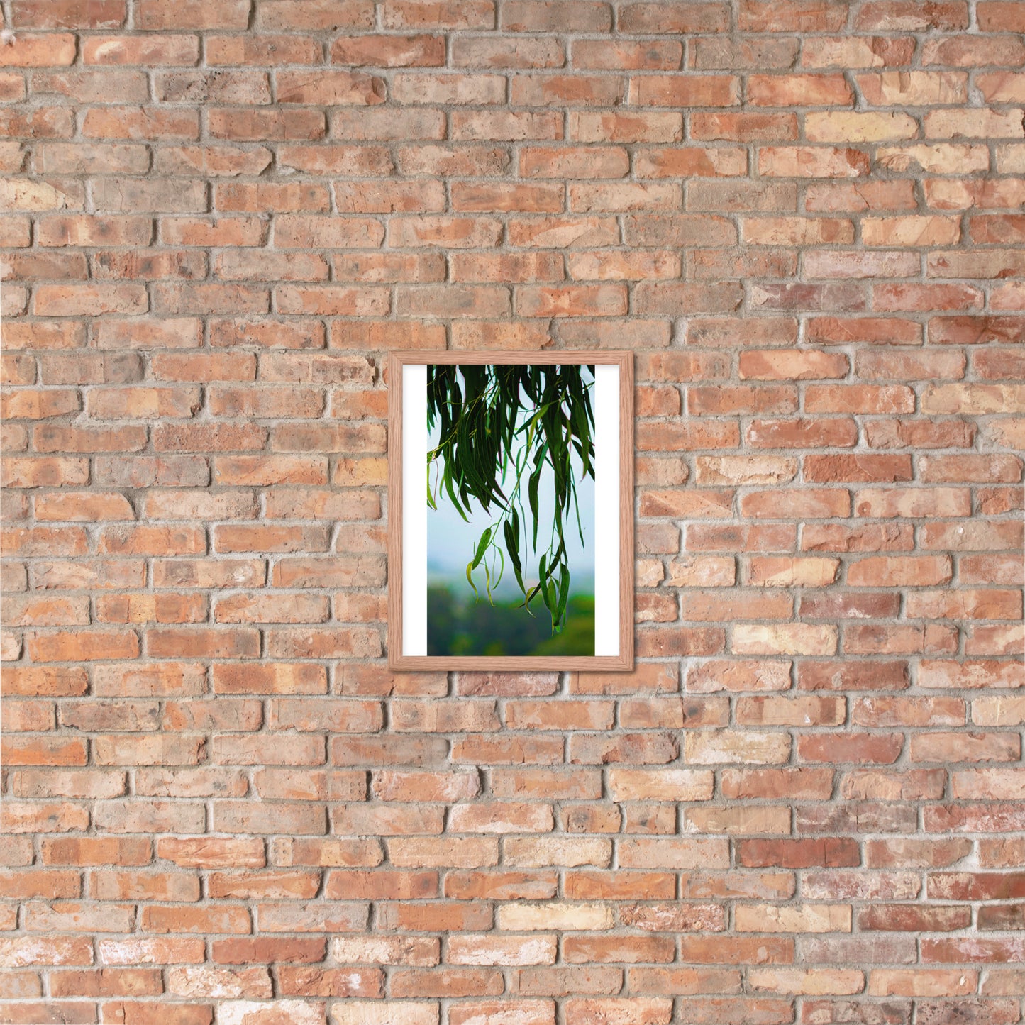 Plant Framed photo paper poster