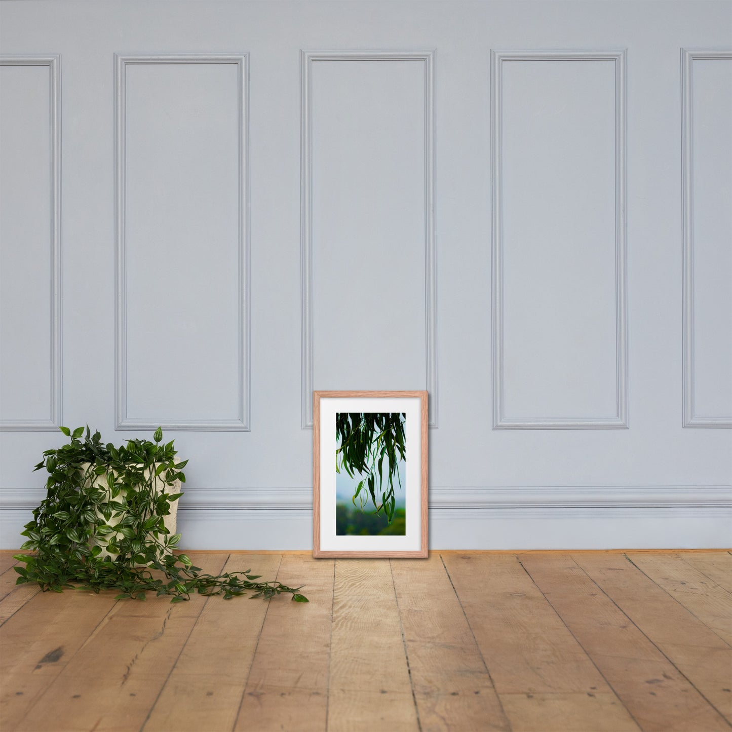 Plant Framed photo paper poster