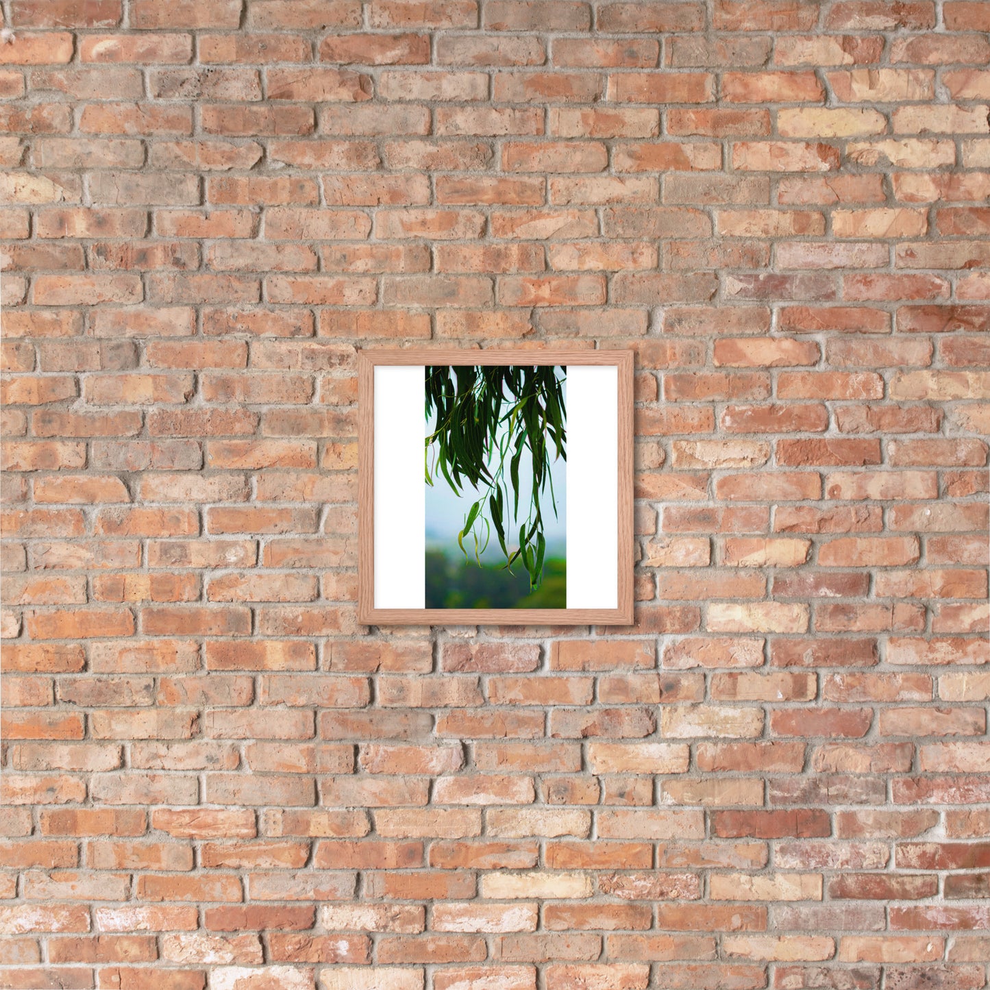 Plant Framed photo paper poster