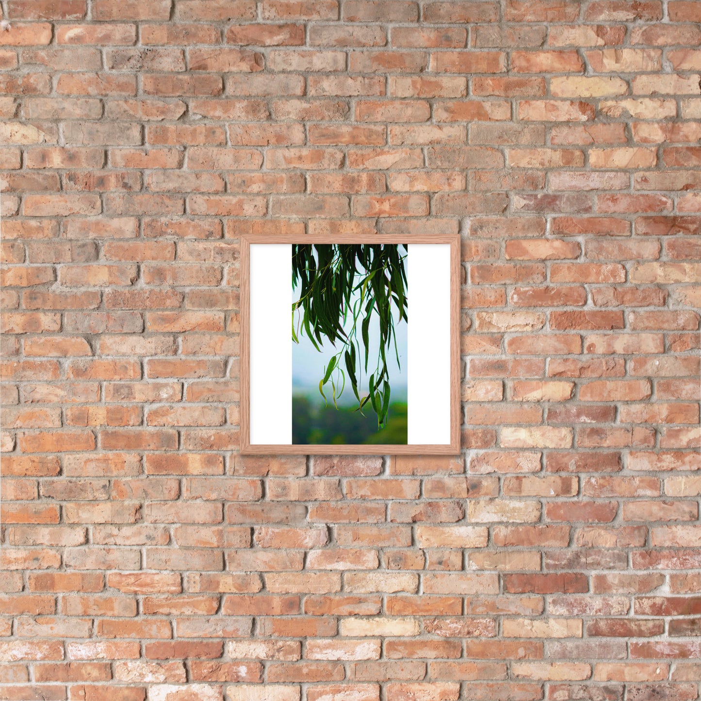 Plant Framed photo paper poster