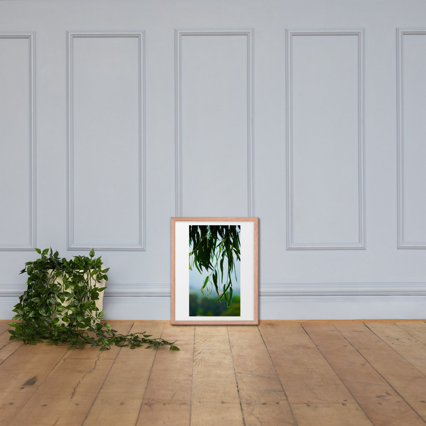 Plant Framed photo paper poster