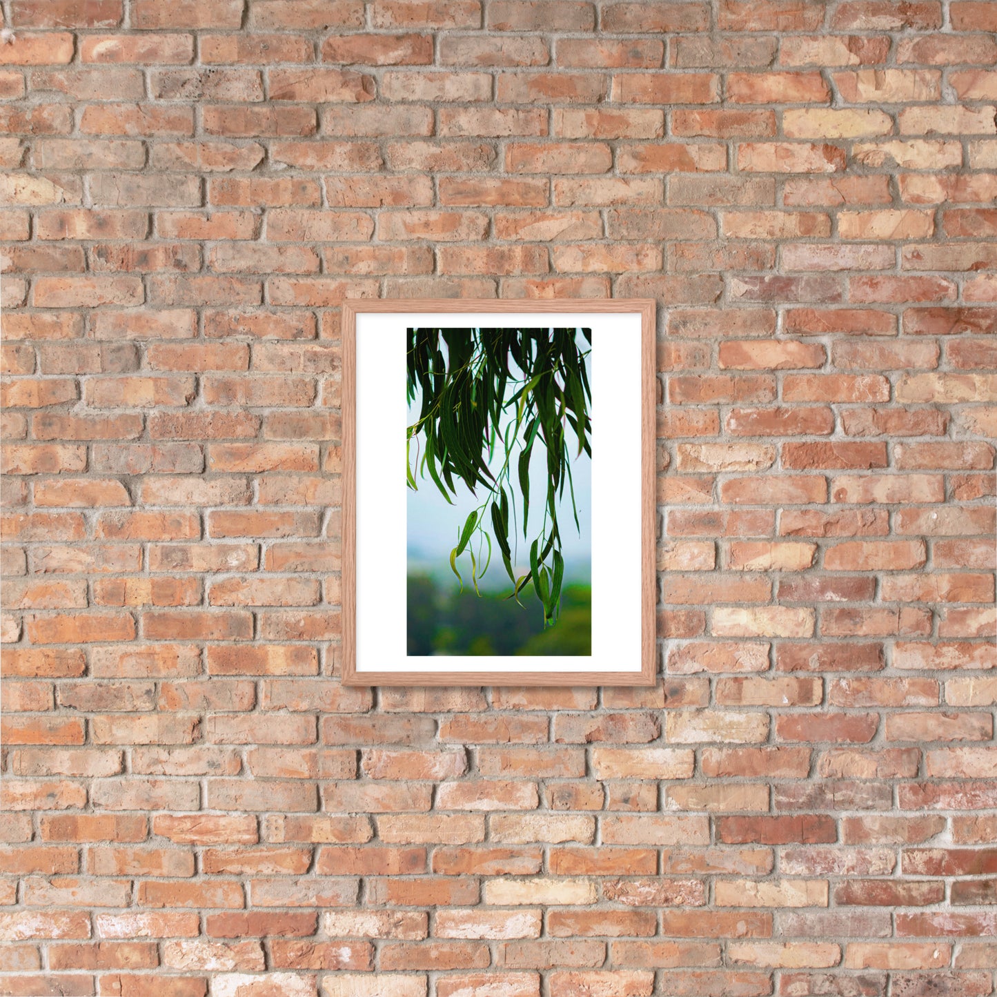 Plant Framed photo paper poster