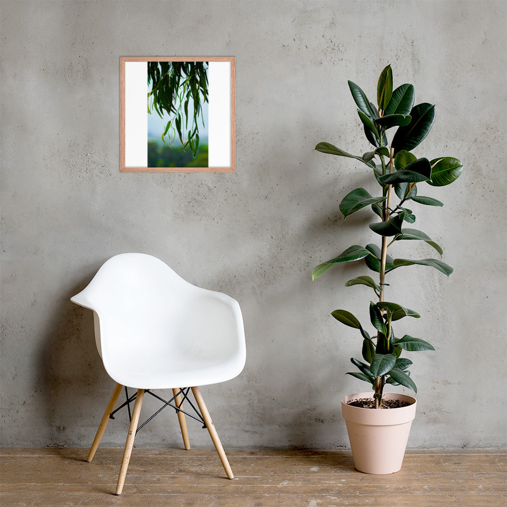 Plant Framed photo paper poster