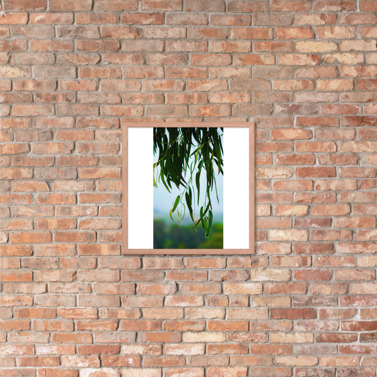 Plant Framed photo paper poster