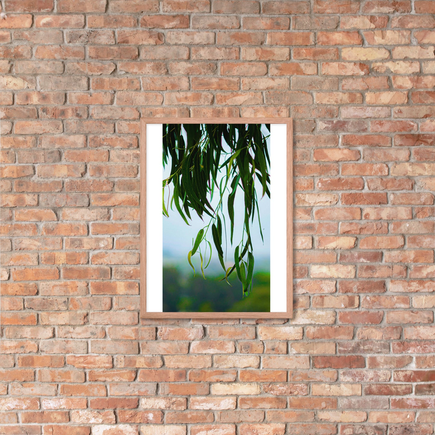 Plant Framed photo paper poster