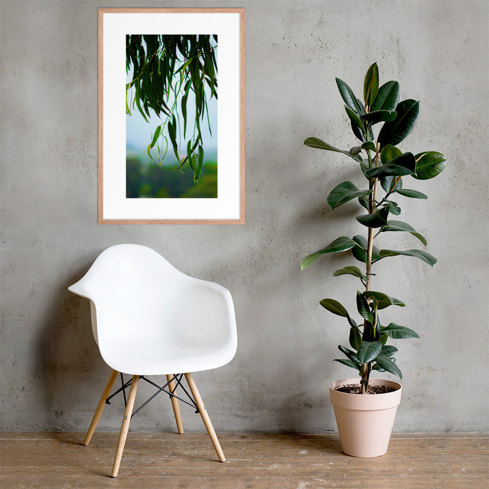 Plant Framed photo paper poster