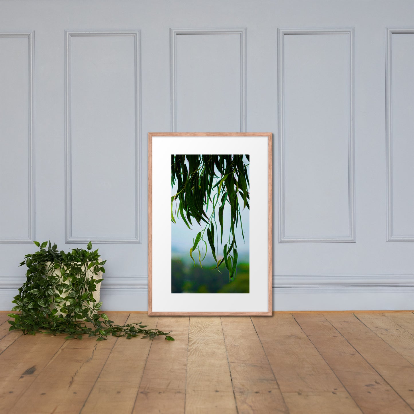 Plant Framed photo paper poster