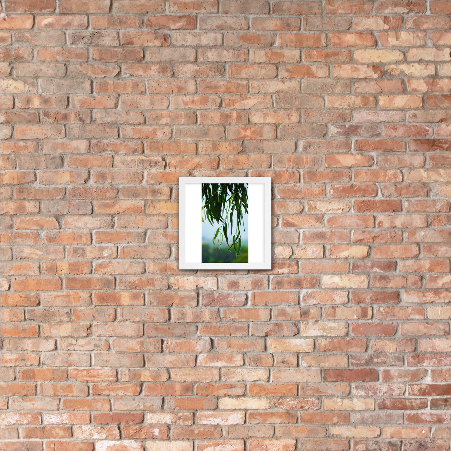 Plant Framed photo paper poster