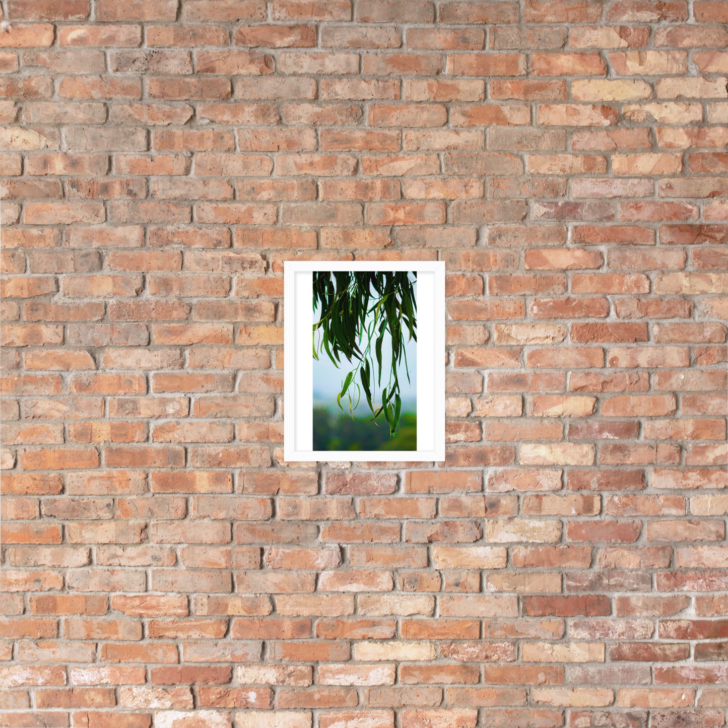 Plant Framed photo paper poster