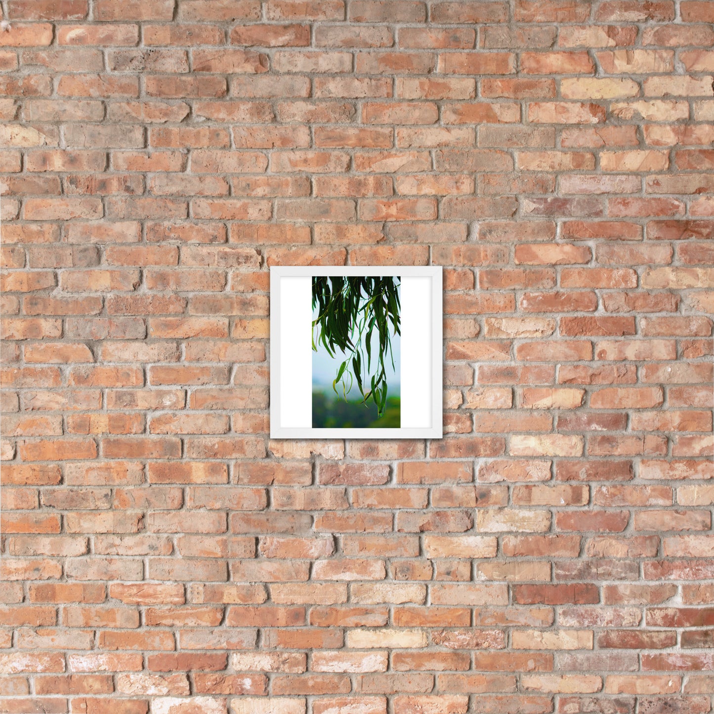 Plant Framed photo paper poster